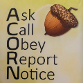 ACORN